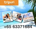 Tripuri Services Pte Ltd Photos